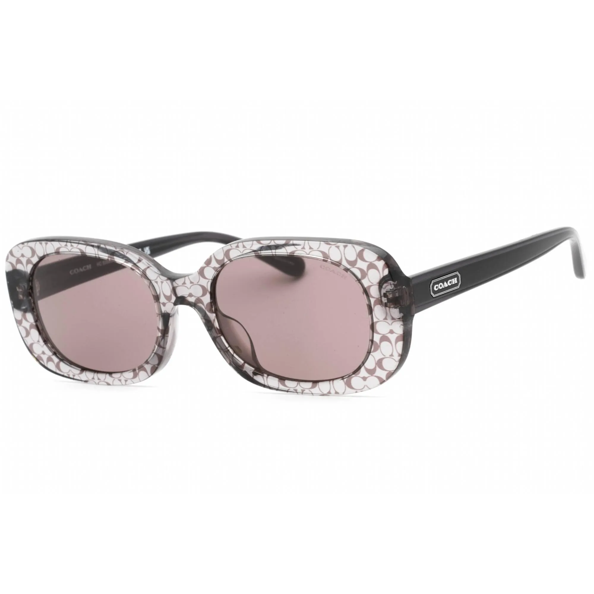 Coach Women's Sunglasses - Grey Transparent Plastic Full Rim Frame | 0HC8358U 57337N