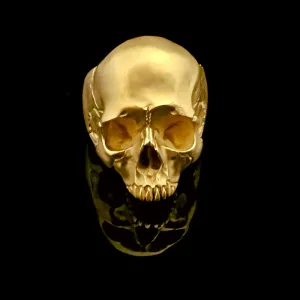 Solid Gold Skull Ring